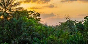 La gran Vista