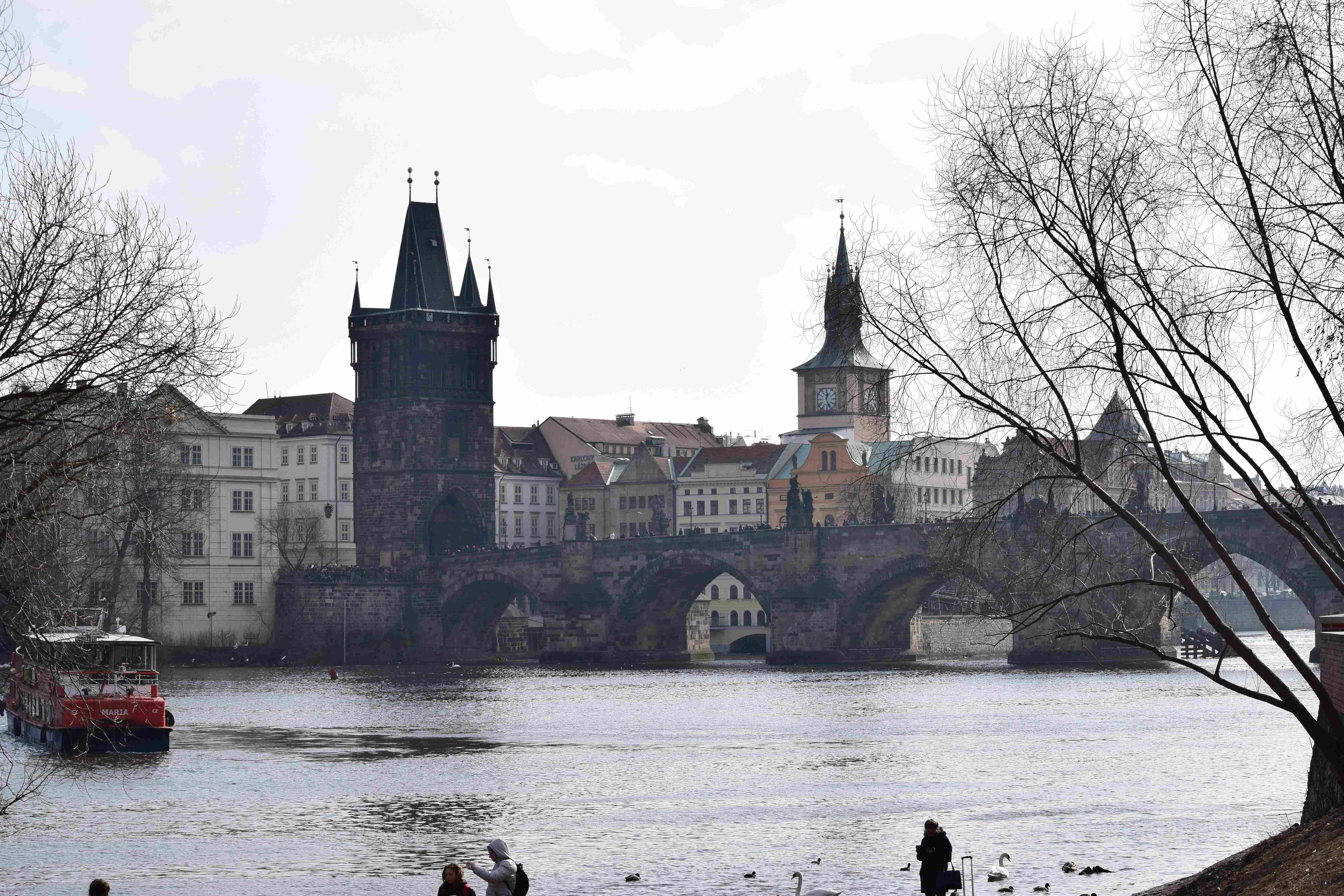 ESC: Long-term volunteering