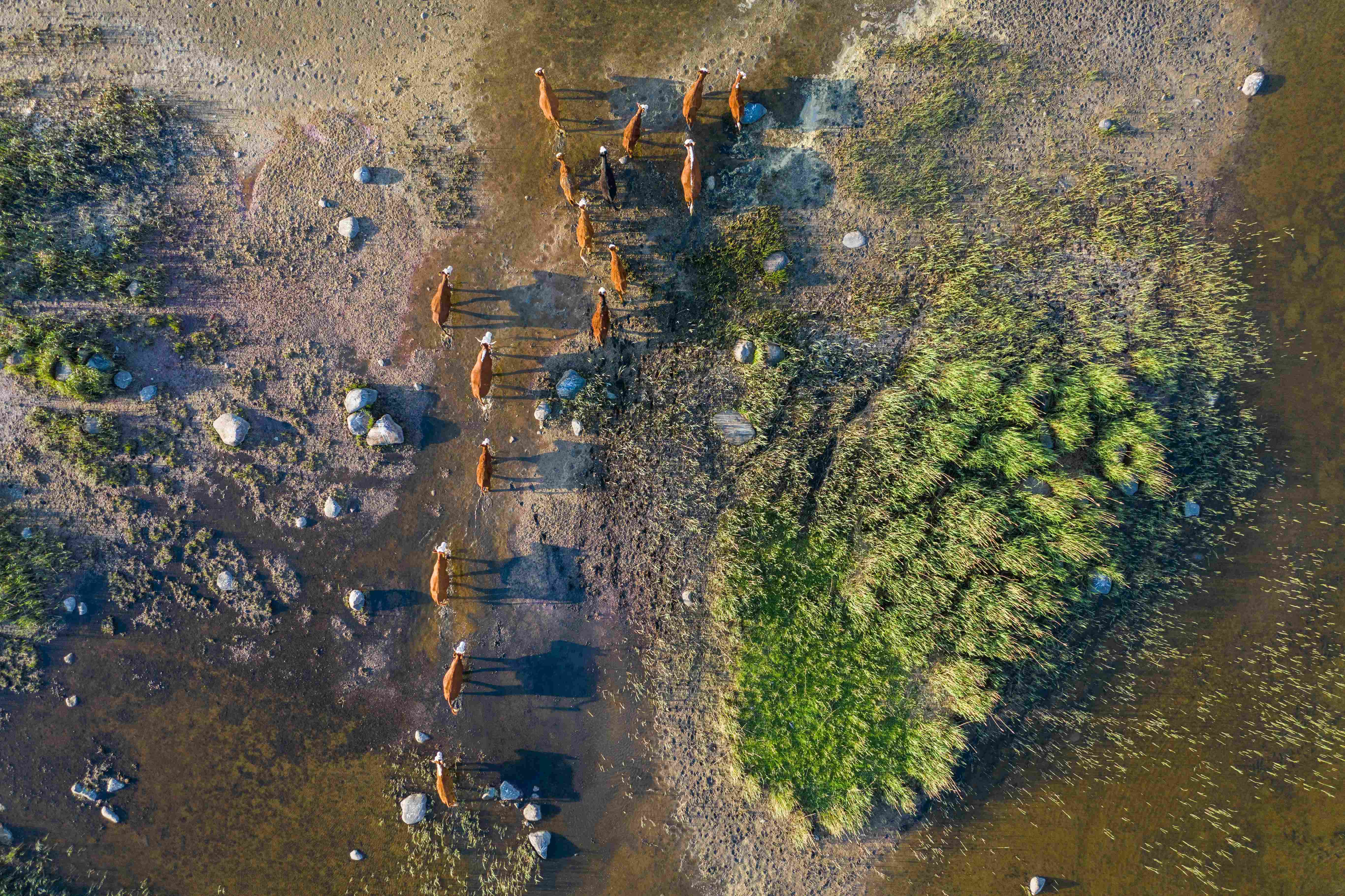 ESC: ESC Volunteering at Orissaare Youth Centre – Saaremaa Island, Estonia