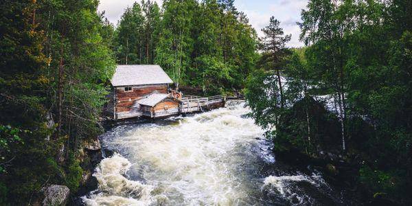 ESC: ST communication volunteer for Allianssi Youth Exchanges Helsinki