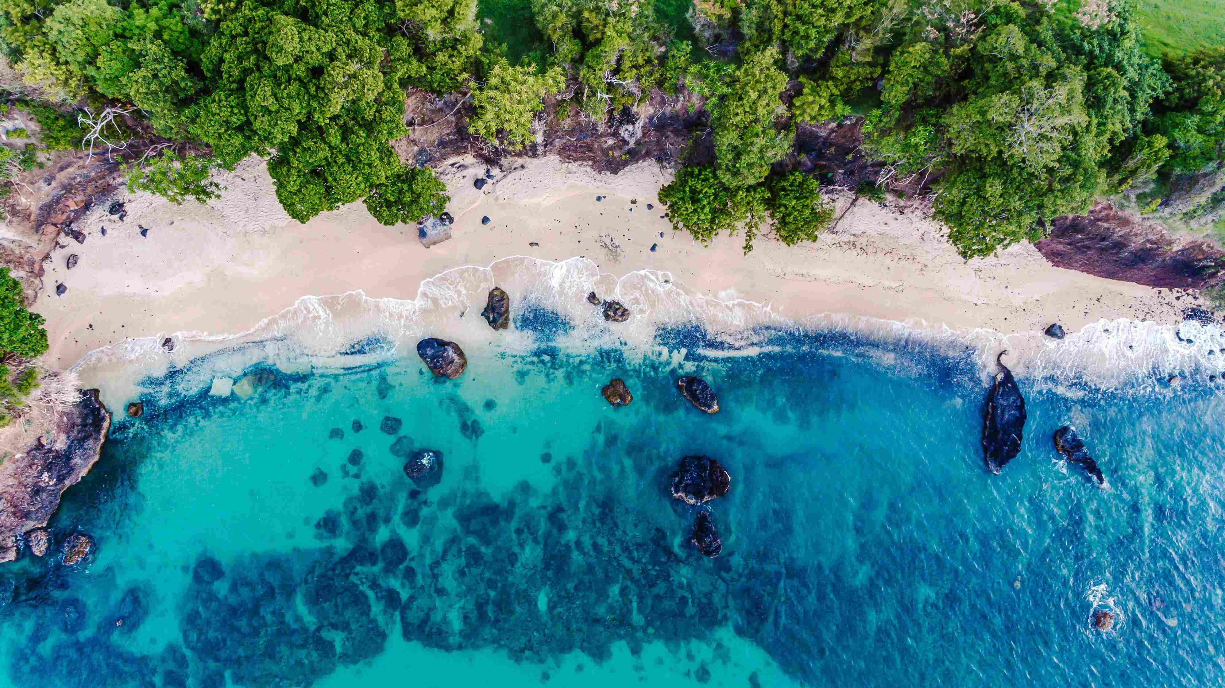 Projets de restauration de la biodiversité marine aux Caraïbes (Carriacou)