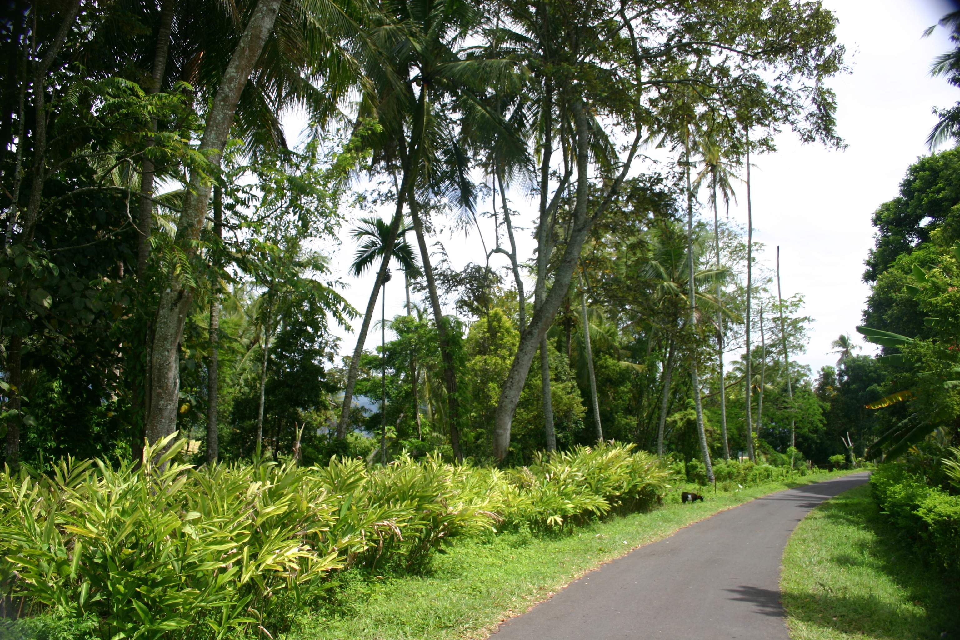 INTERNSHIP NGO
