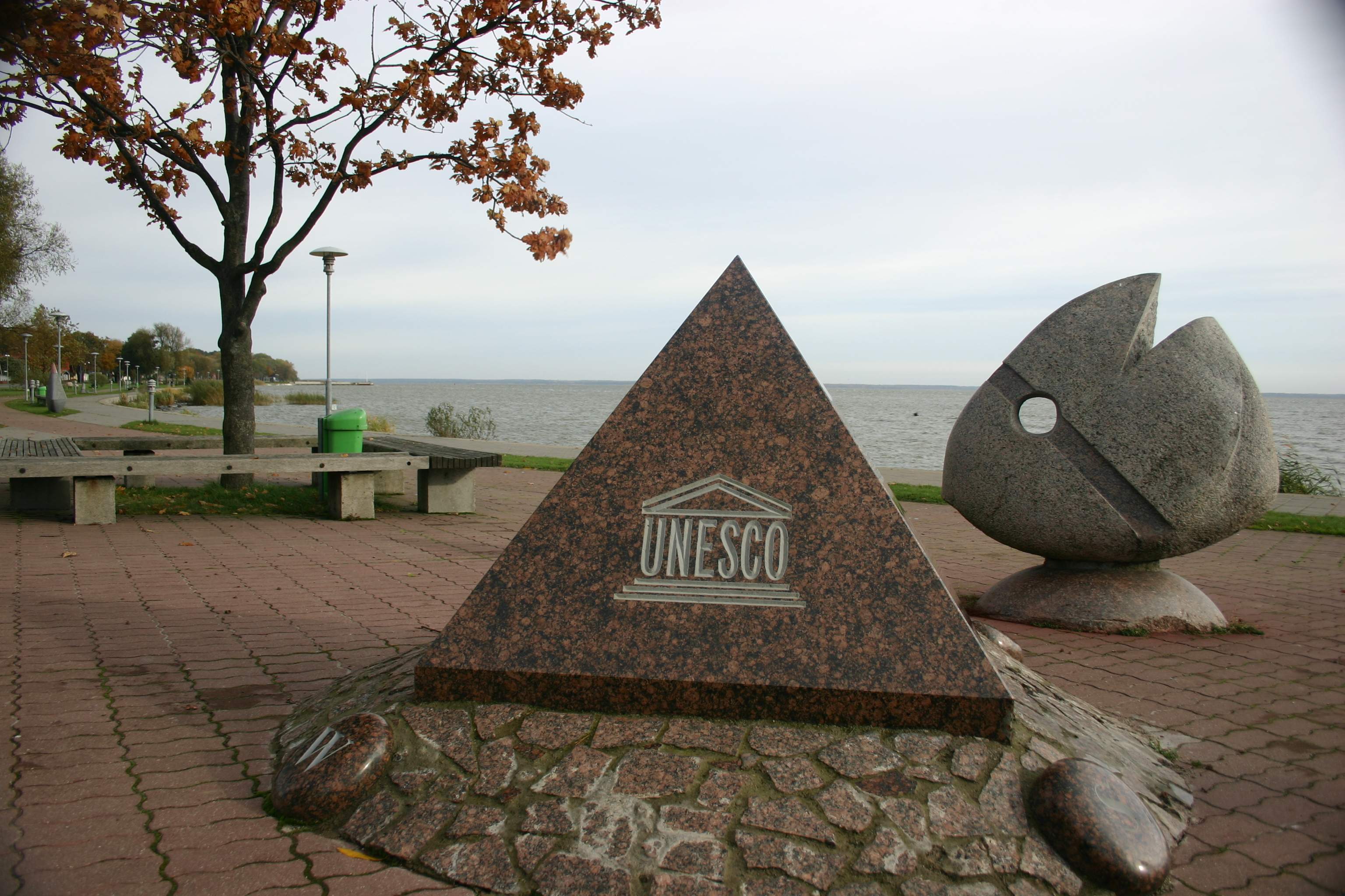 ESC: Volunteering. Adults with mental disabilities