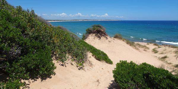 Infatário da Matola