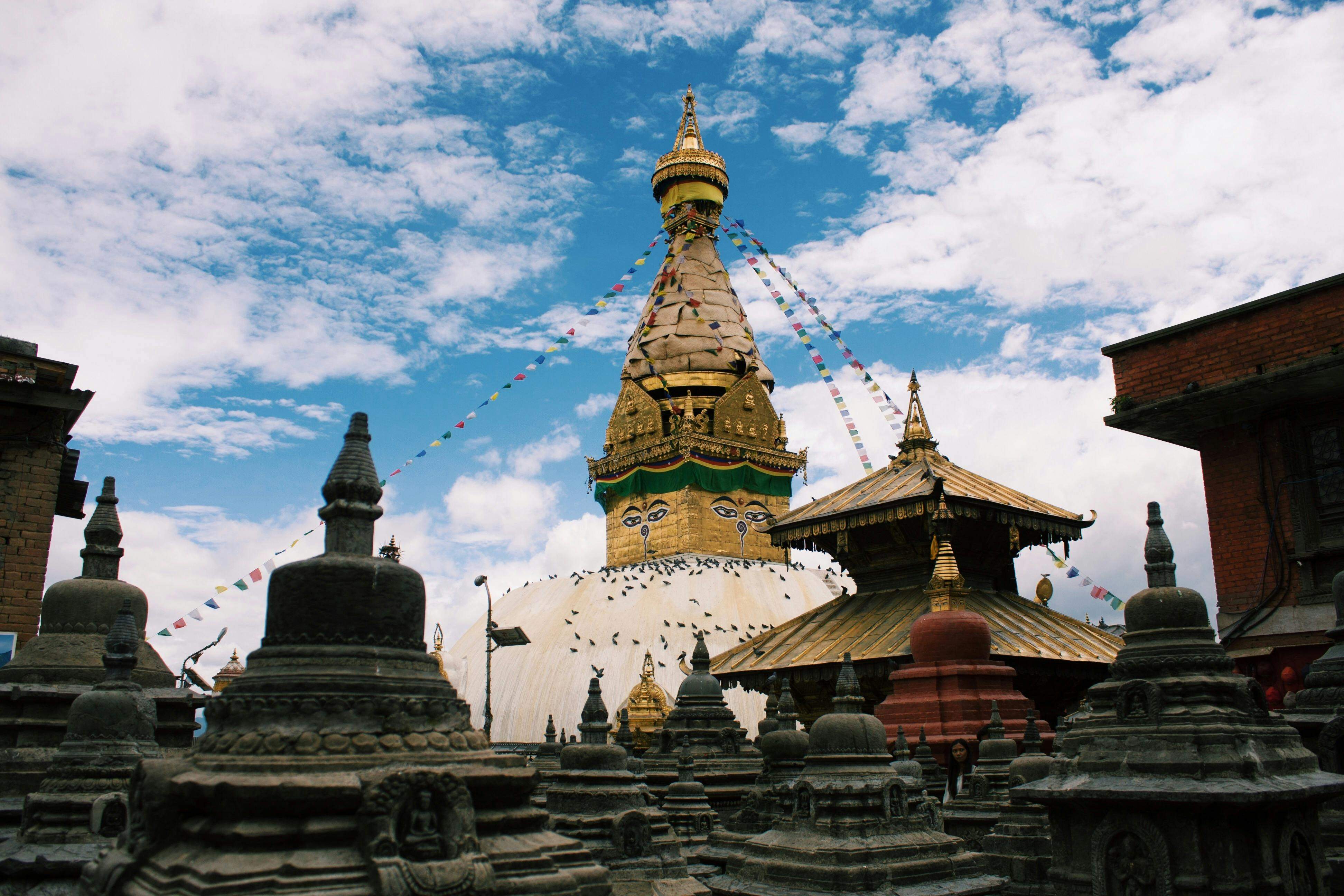 International Work camp in Pokhara