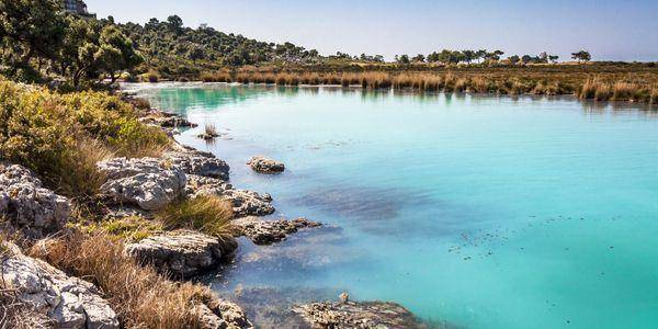 ESC: ESC in Mugla, Türkiye - Looking for Long-Term Volunteers (01 September 2026 - 01 June 2027)
