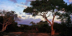 Watoto Wetu – Education & Childcare