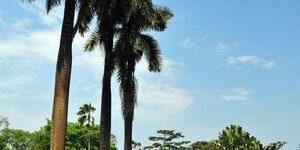 KAWEMPE YOUTH DEVELOPMENT ASSOCIATION (KYDA)