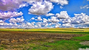 Greening Mongolia