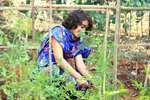 Sustainable Agriculture & Animal Husbandry Project