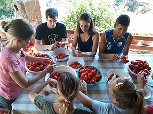 ESC: Solidarity in Primorska