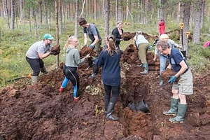MIRE RESTORATION