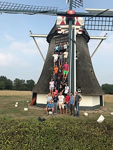 Forest project Oudemolen