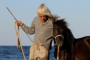 Saving The Skyrian Horses