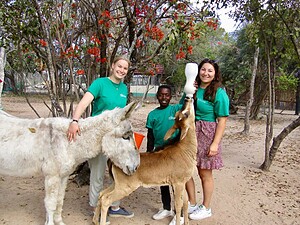 Bush School and Wildlife Orphanage 
