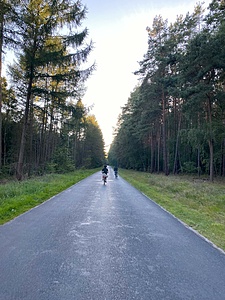 NATURE and MEMORY- Malchow