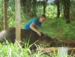 Wildlife program in Costa Rica 