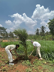 SUSTAINABLE AGRICULTURE/ORGANIC FARMING