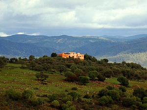 15 jours de volontariat à Los Portales (CES/SVE) 