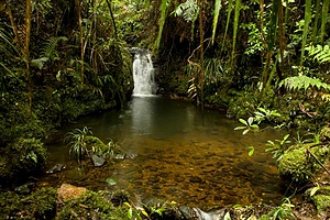 SANCTUAIRE DE LA NATURE