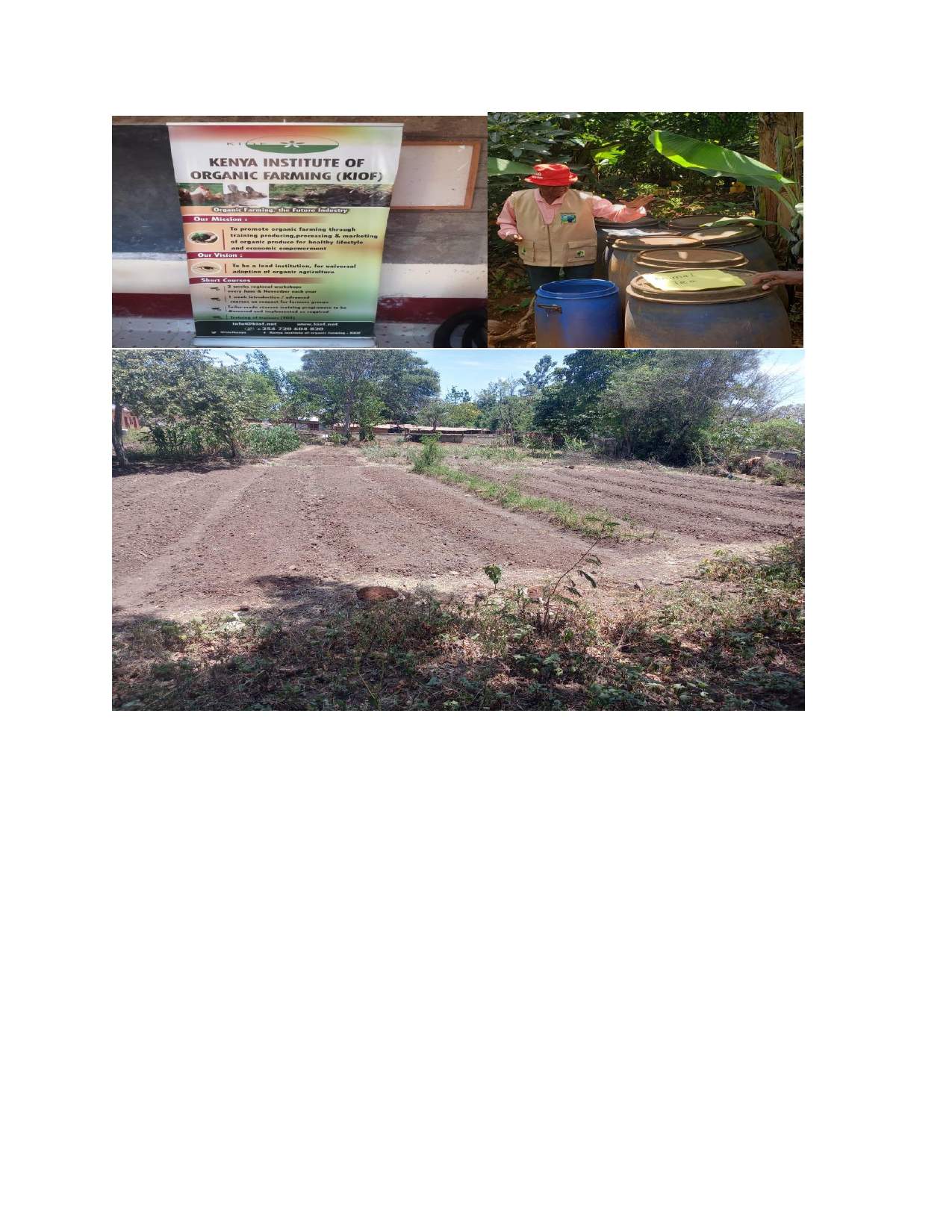 KENYA INSTITUTE OF ORGANIC FARMING