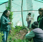 Sustainable agriculture project 