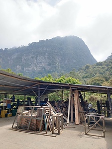Volunteer in a Cloud Forest