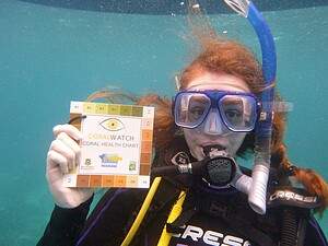 Projets de restauration de la biodiversité marine aux Caraïbes (Carriacou)