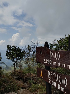 Volunteer in a Cloud Forest
