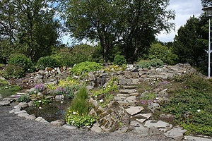 Botanical Gardens in Reykjavík