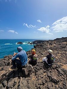 Island Conservation Programme - Sal Island, Cabo Verde
