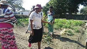 Mutare Called to Care