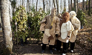ESC: The Walking Forest