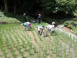 Kurogi Youth: environmental project 