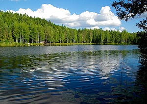 Kainuu college