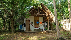Marine Conservation Project