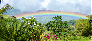 Climate Activism in the Caribbean