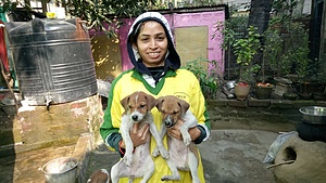 STREET DOGS WELFARE