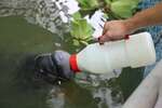 Conservation Intern in the Peruvian Amazon