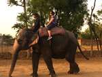 PINK CITY HERITAGE AND CULTURE (JAIPUR)