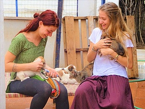 Animal Care and Conservation