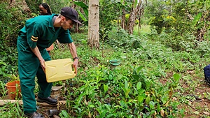Sensibilisation au changement climatique et construction de pépinières