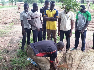 Ecomusée Tata Somba