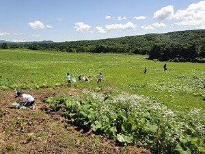 Kuromatsunai (Hokkaido)