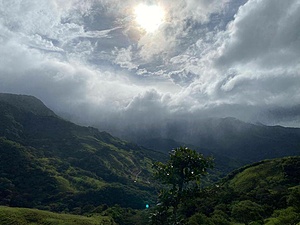 Cloud forest reserve in Monteverde