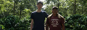 Internship in coffee production