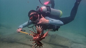 Projets de restauration de la biodiversité marine aux Caraïbes (Carriacou)
