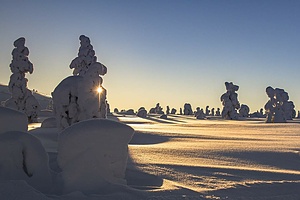 Kainuu college
