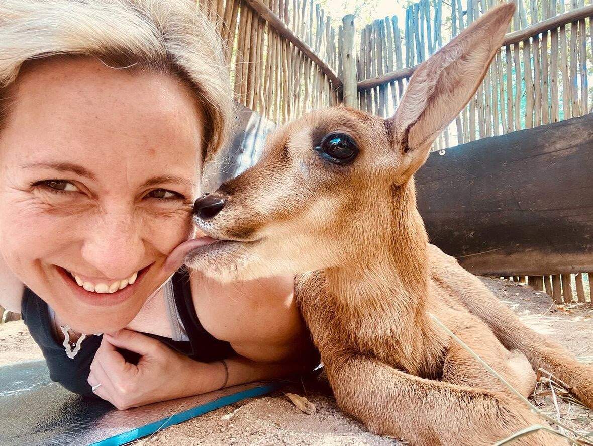 Animals and children