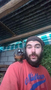 ANIMAL SHELTER